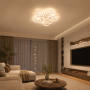 LED світильник VELMAX V-CL-WINDFLOWER-5Wh, max 70W, 3000K-6500K, пульт, блок живлення, білий, 230V