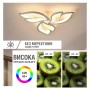 LED світильник VELMAX V-CL-MAGNOLIA-3Wh, max 39W, 3000K-6500K, пульт, блок живлення, білий, 230V