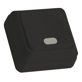 Вимикач 2 кл, 10А, з світл. біл. індикатором (Б), "Julia", чорна