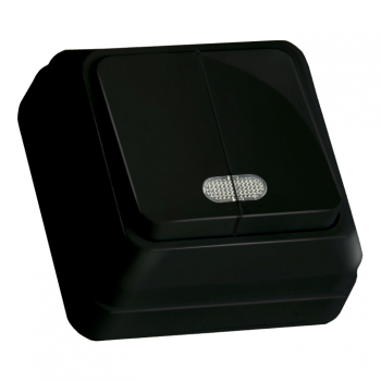 Вимикач 2 кл, 10А, з світл. біл. індикатором (Б), "Julia", чорна