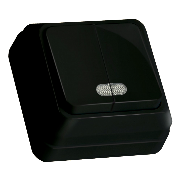 Вимикач 2 кл, 10А, з світл. біл. індикатором (Б), "Julia", чорна